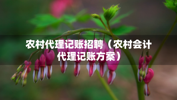 农村代理记账招聘（农村会计代理记账方案）