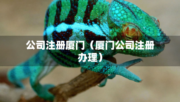 公司注册厦门（厦门公司注册办理）