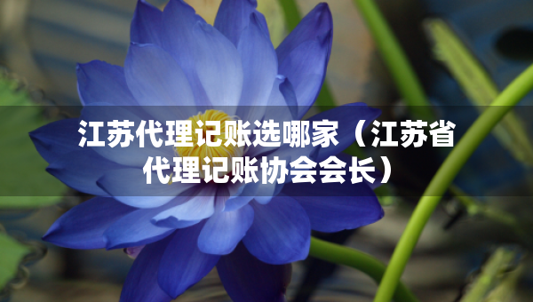 江苏代理记账选哪家（江苏省代理记账协会会长）