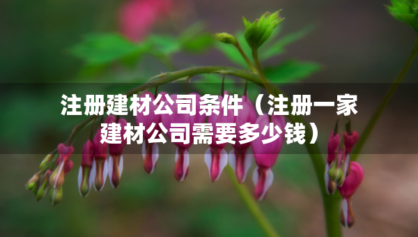 注册建材公司条件（注册一家建材公司需要多少钱）