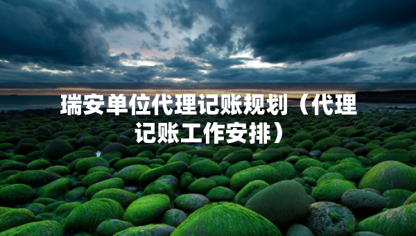 瑞安单位代理记账规划（代理记账工作安排）