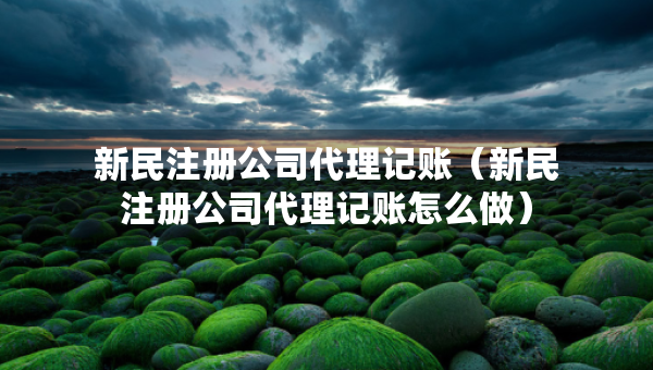 新民注册公司代理记账（新民注册公司代理记账怎么做）