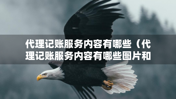 代理记账服务内容有哪些（代理记账服务内容有哪些图片和文字要求）