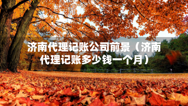 济南代理记账公司前景（济南代理记账多少钱一个月）