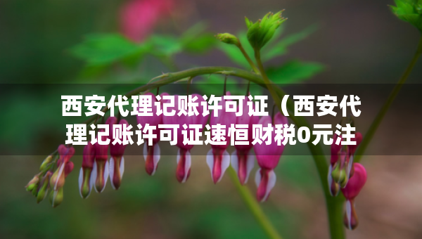 西安代理记账许可证（西安代理记账许可证速恒财税0元注册）