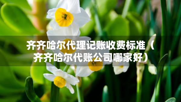 齐齐哈尔代理记账收费标准（齐齐哈尔代账公司哪家好）