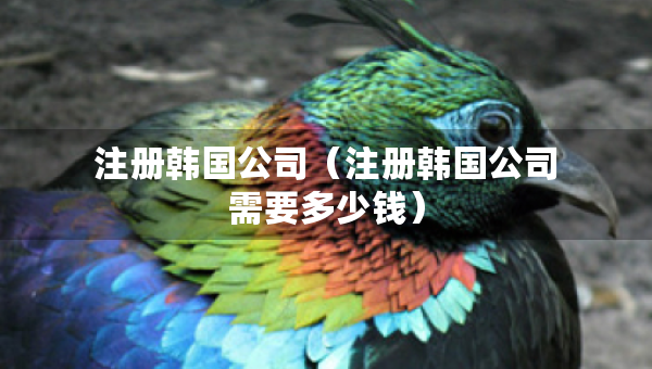 注册韩国公司（注册韩国公司需要多少钱）