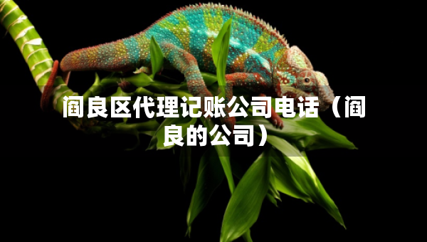 阎良区代理记账公司电话(阎良的公司) 阎良区代理记账公司电话(阎良的公司)