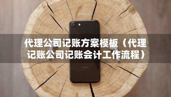 代理公司记账方案模板（代理记账公司记账会计工作流程）