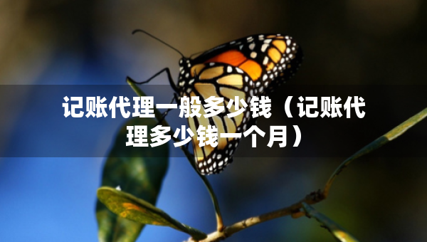 记账代理一般多少钱（记账代理多少钱一个月）