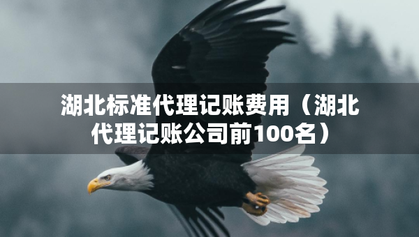 湖北标准代理记账费用（湖北代理记账公司前100名）