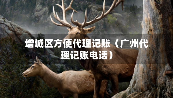 增城区方便代理记账（广州代理记账电话）