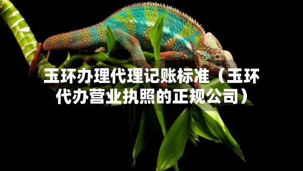玉环办理代理记账标准（玉环代办营业执照的正规公司）