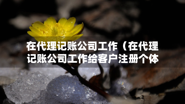 在代理记账公司工作（在代理记账公司工作给客户注册个体户有影响吗）