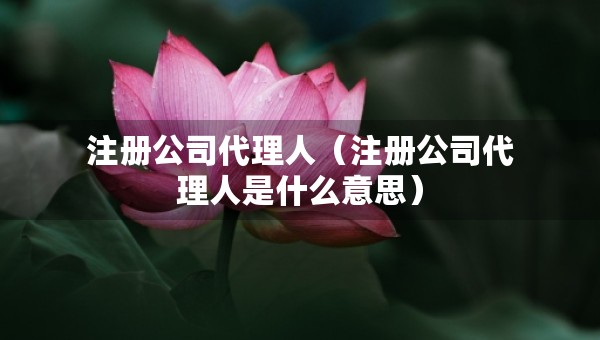注册公司代理人（注册公司代理人是什么意思）