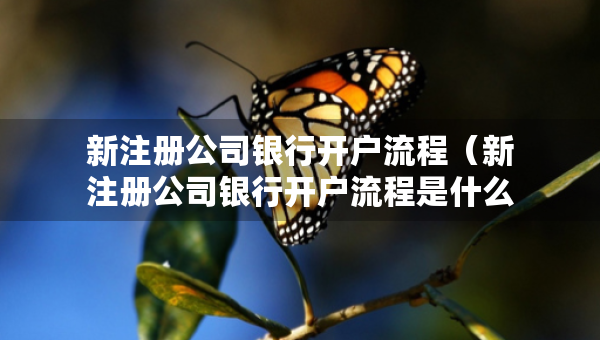 新注册公司银行开户流程（新注册公司银行开户流程是什么）