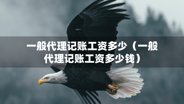 一般代理记账工资多少（一般代理记账工资多少钱）
