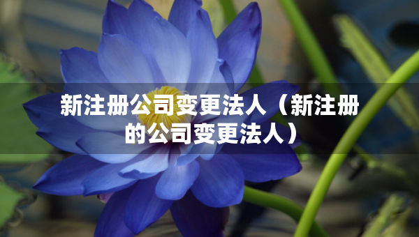 新注册公司变更法人（新注册的公司变更法人）