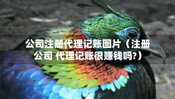 公司注册代理记账图片（注册公司 代理记账很赚钱吗?）