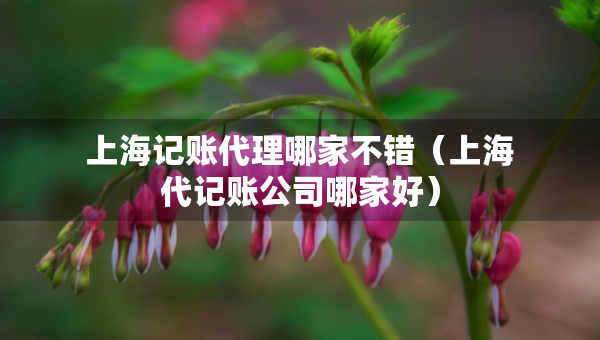 上海记账代理哪家不错（上海代记账公司哪家好）