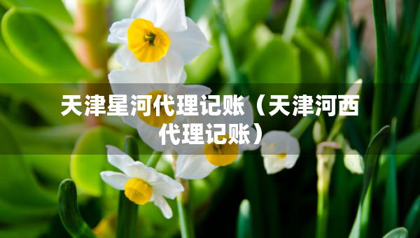 天津星河代理记账（天津河西代理记账）