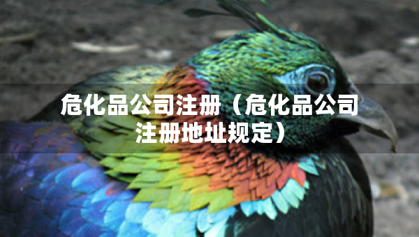 危化品公司注册（危化品公司注册地址规定）