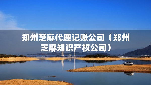 郑州芝麻代理记账公司（郑州芝麻知识产权公司）