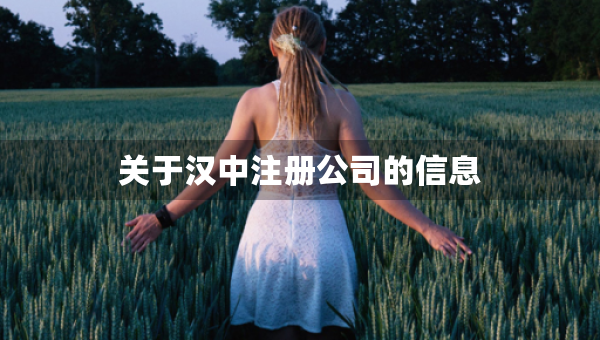 关于汉中注册公司的信息