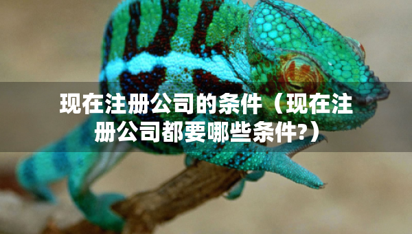 现在注册公司的条件（现在注册公司都要哪些条件?）