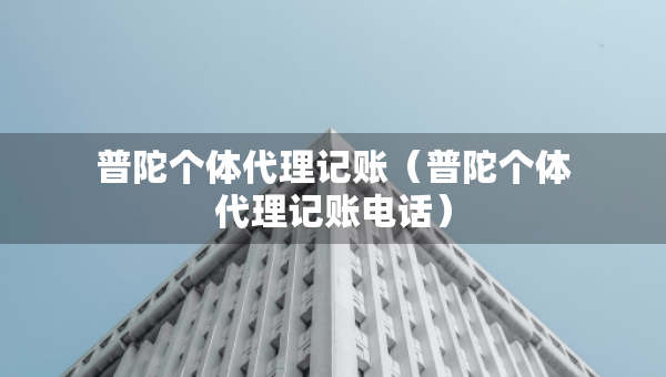 普陀个体代理记账（普陀个体代理记账电话）