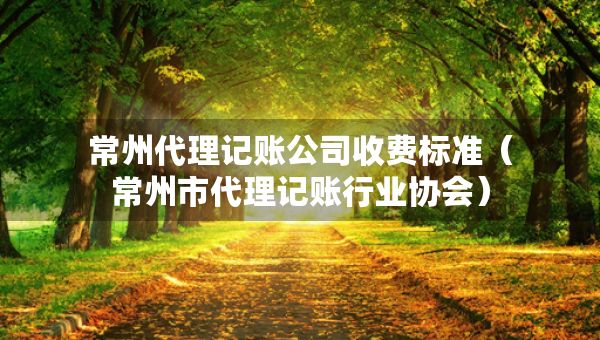 常州代理记账公司收费标准（常州市代理记账行业协会）
