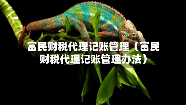 富民财税代理记账管理（富民财税代理记账管理办法）
