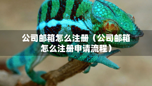 公司邮箱怎么注册（公司邮箱怎么注册申请流程）