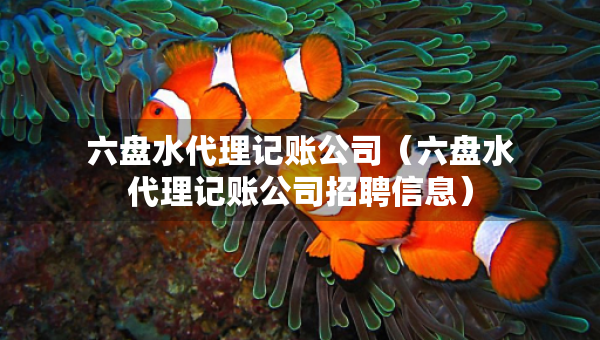 六盘水代理记账公司（六盘水代理记账公司招聘信息）