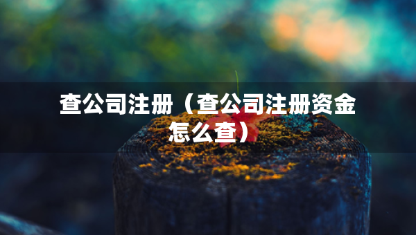 查公司注册（查公司注册资金怎么查）