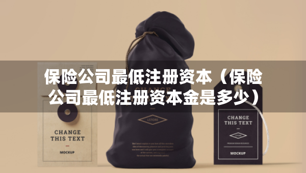 保险公司最低注册资本（保险公司最低注册资本金是多少）