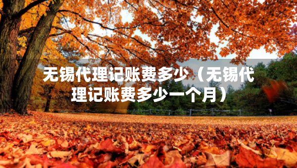 无锡代理记账费多少（无锡代理记账费多少一个月）