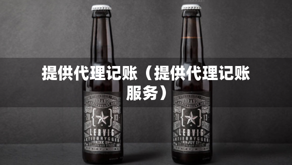 提供代理记账（提供代理记账服务）