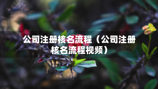 公司注册核名流程（公司注册核名流程视频）