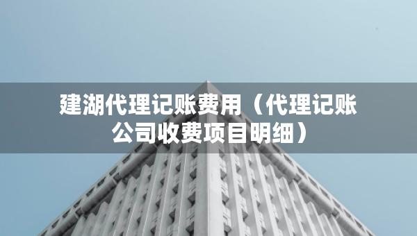 建湖代理记账费用（代理记账公司收费项目明细）