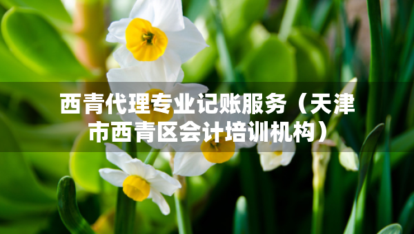 西青代理专业记账服务（天津市西青区会计培训机构）