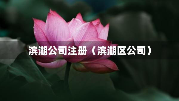 滨湖公司注册（滨湖区公司）