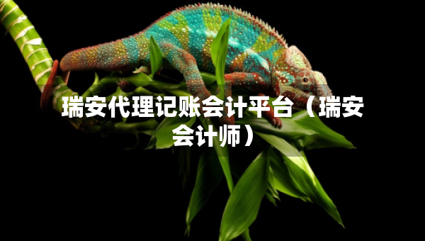 瑞安代理记账会计平台（瑞安会计师）