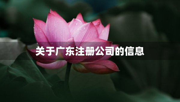 关于广东注册公司的信息