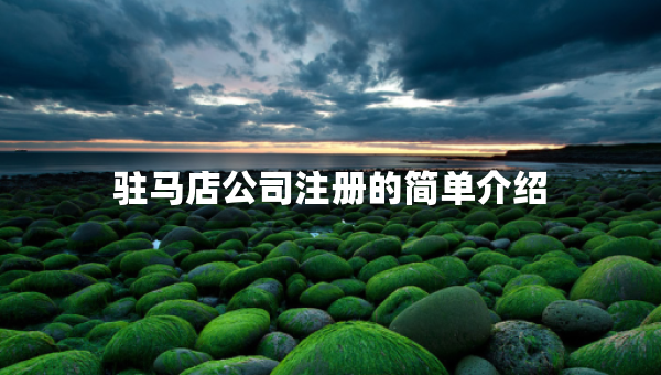 驻马店公司注册的简单介绍