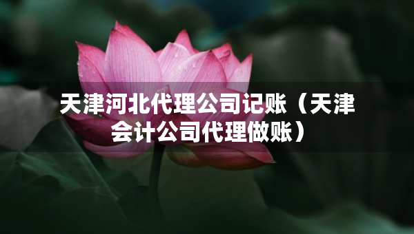 天津河北代理公司记账（天津会计公司代理做账）