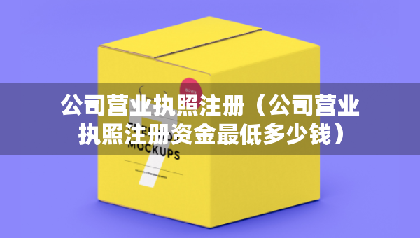 公司营业执照注册（公司营业执照注册资金最低多少钱）