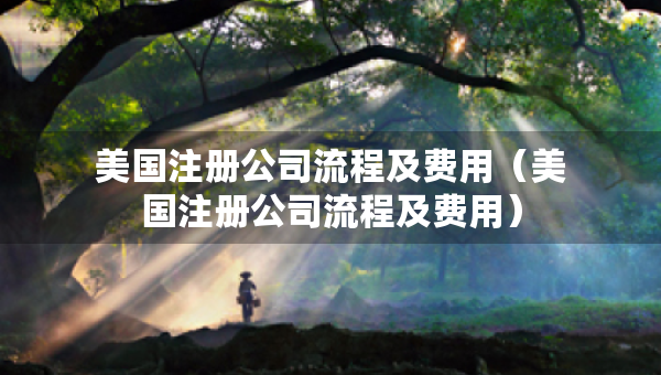 美国注册公司流程及费用（美国注册公司流程及费用）