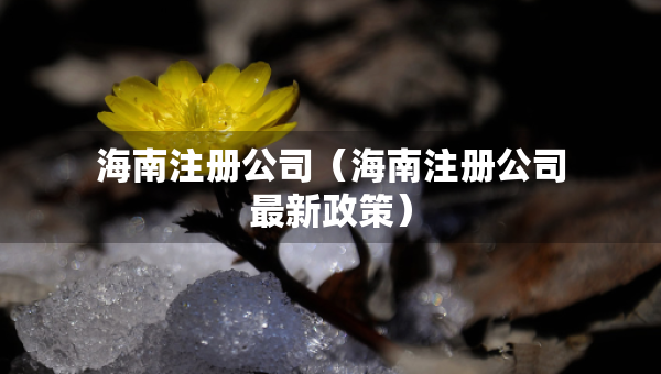 海南注册公司（海南注册公司最新政策）