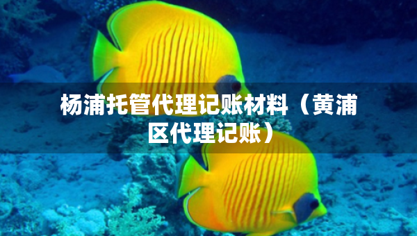 杨浦托管代理记账材料（黄浦区代理记账）